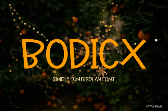 Boost Campaign Impact with Bodicx Display Fonts