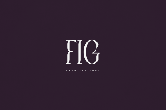 Fig: The Elegant Display Font for Handmade Branding