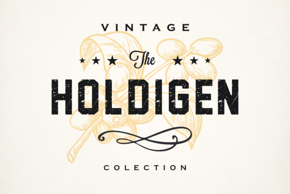 Holdigen: A Rugged Display Font for Bold Web Headers