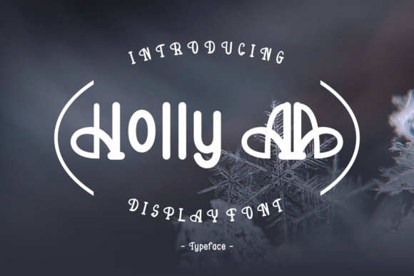 Holly Aa: The Unique Display Font for Scroll-Stopping Visuals