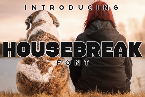 Housebreak: The Display Font That Elevates Small Business Brands