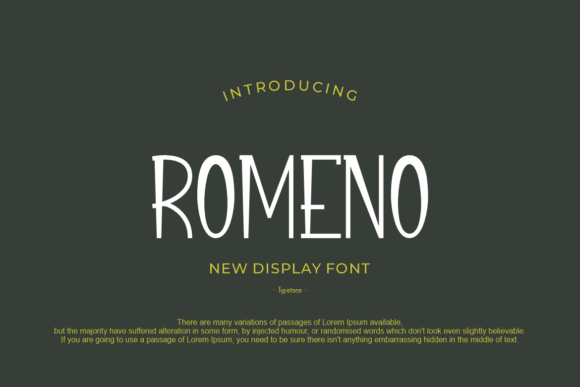 Romeno: A Modern Display Font for Bold Campaigns
